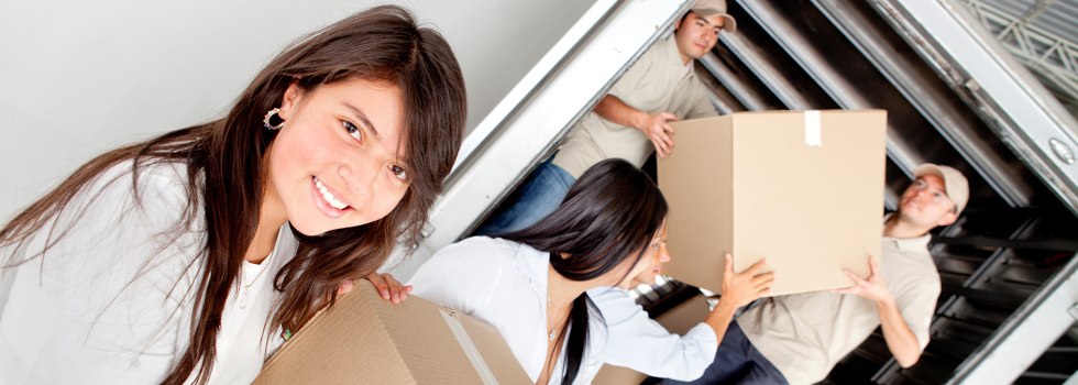 Professional Removalists Lubeck